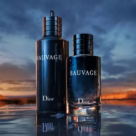 profumi simili a dior sauvage|dior sauvage alternative for men.